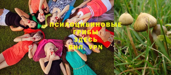 ALPHA PVP Арсеньев