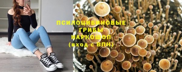 эйфоретик Армянск